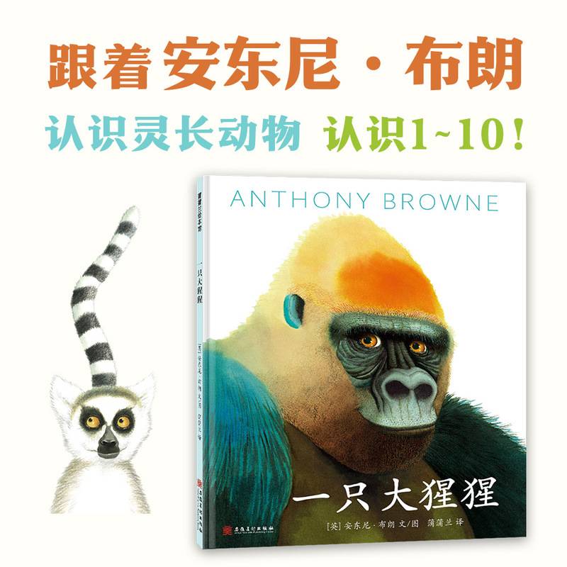 一只大猩猩
