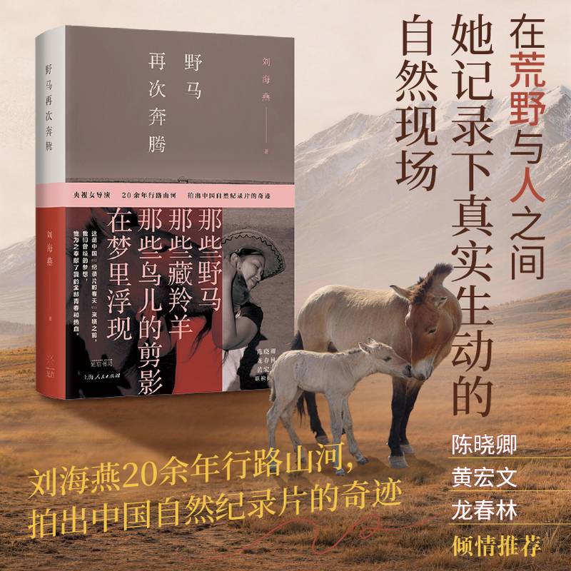 野马再次奔腾