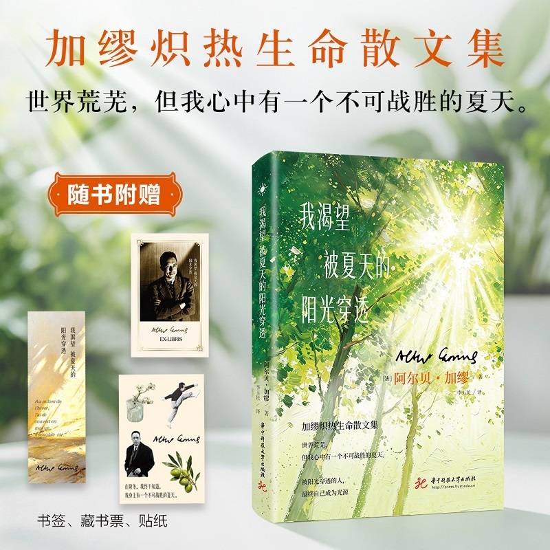 我渴望被夏天的阳光穿透