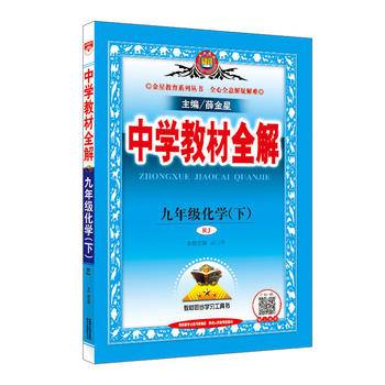 2019春 中学教材全解 九年级化学下 人教版(RJ版)