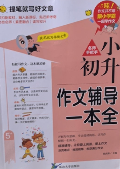 小升初名师手把手作文辅导