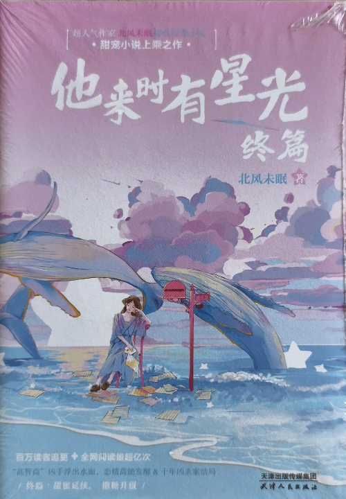 他来时有星光 终篇