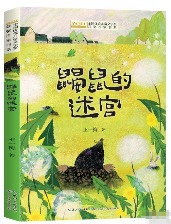 全国优秀儿童文学获奖作家书-鼹鼠的迷宫