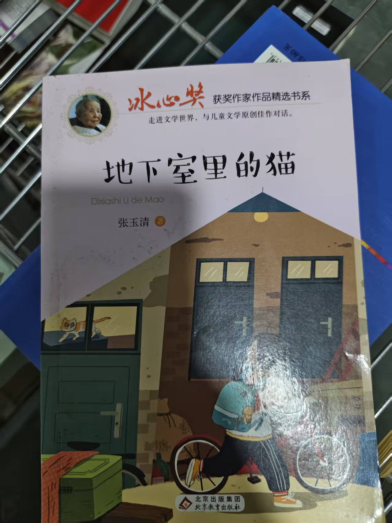 冰心奖获奖作家作品《地下室里的猫》