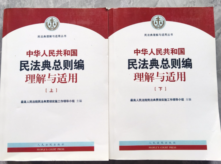 中华人民共和国民法典理解与适用上下册