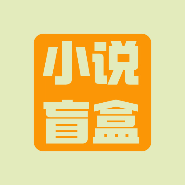 小说盲盒
