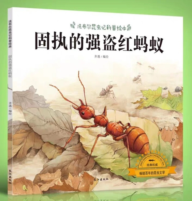 法布尔昆虫记科普绘本：固执的强盗红蚂蚁