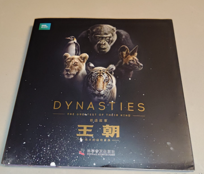 王朝