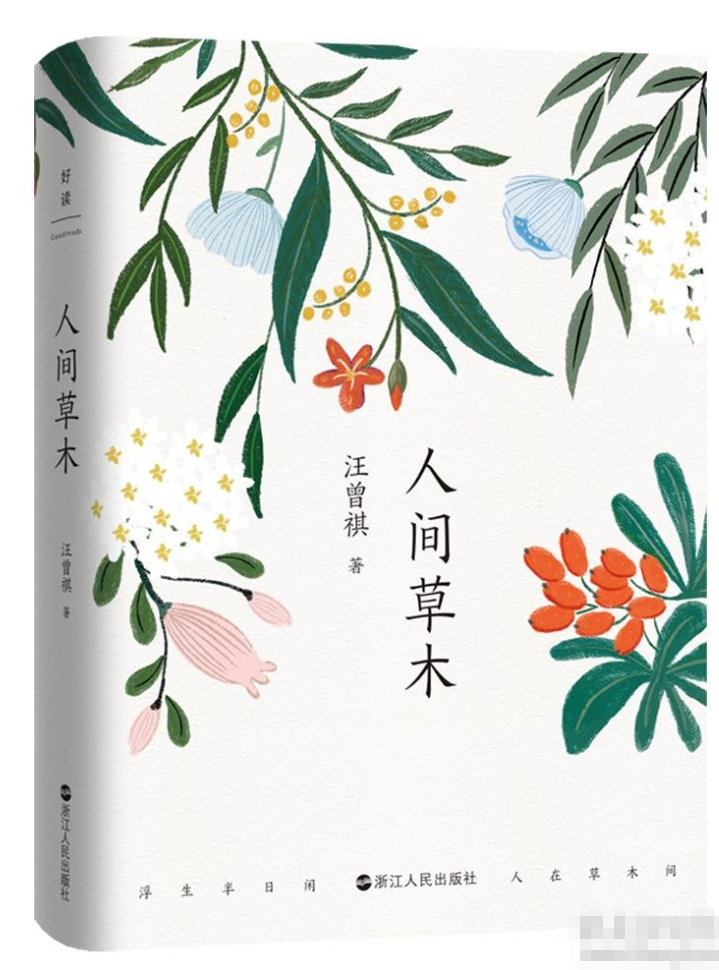 纪念汪曾祺诞辰100周年经典集-人间草木