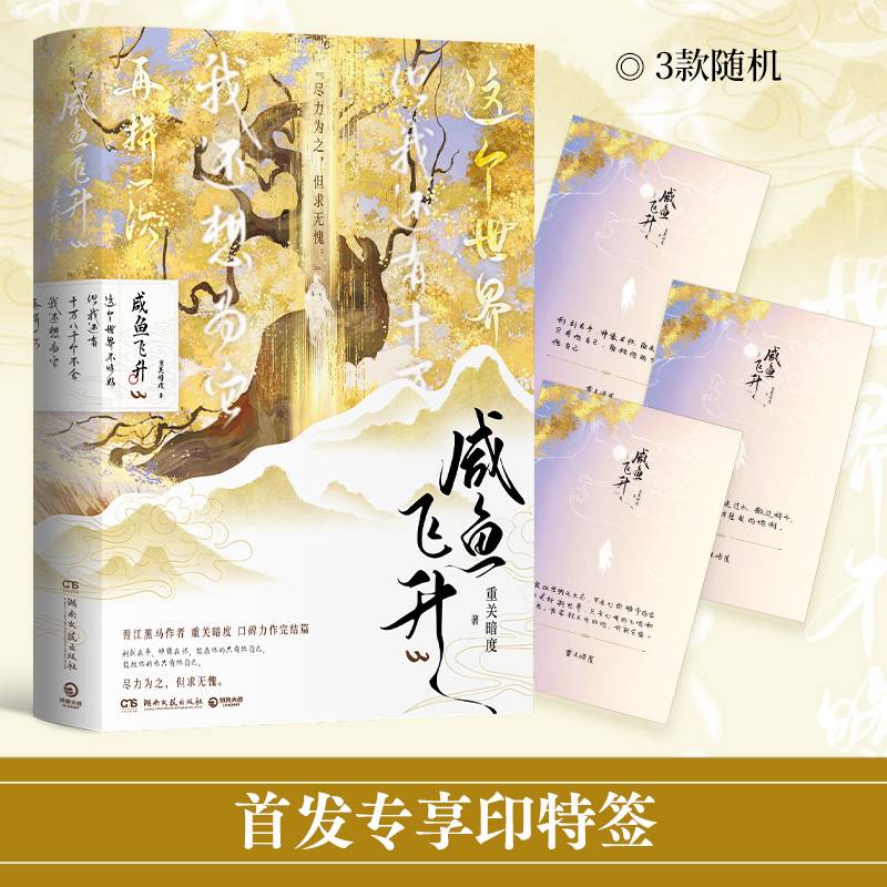 完结篇