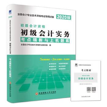 初级会计职称2019教材配套试卷正版初级会计职称2019考点精析与上机题库：初级会计实务