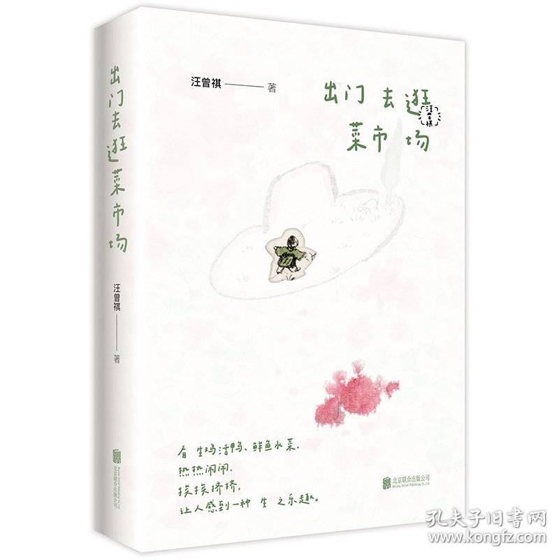 汪曾祺诞辰106周年纪念散文集3册套装：出门去逛菜市场+太阳照在我手上+野鸭子飞得高高的