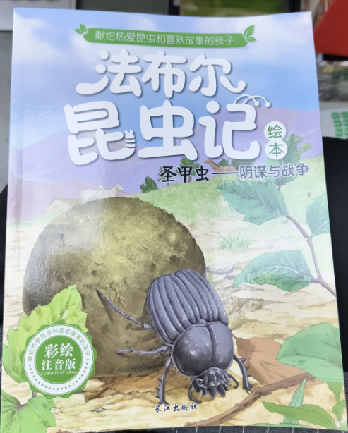 无书名