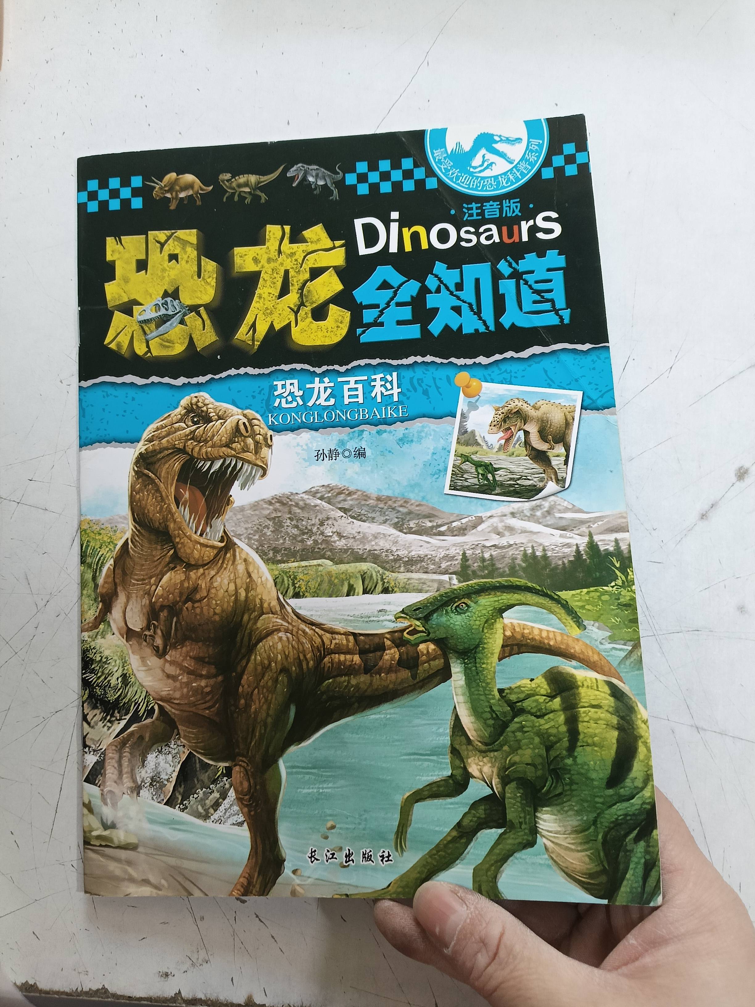 最受欢迎的恐龙科普系列：恐龙全知道（注音版 套装共12册）
