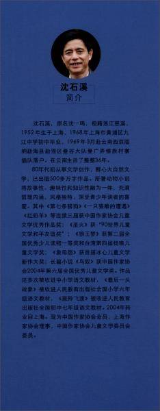 泣血鲸魂   沈石溪经典酷玩系列